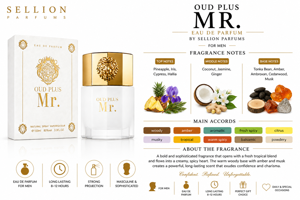 SELLION Parfum Mr. EDP 100ML