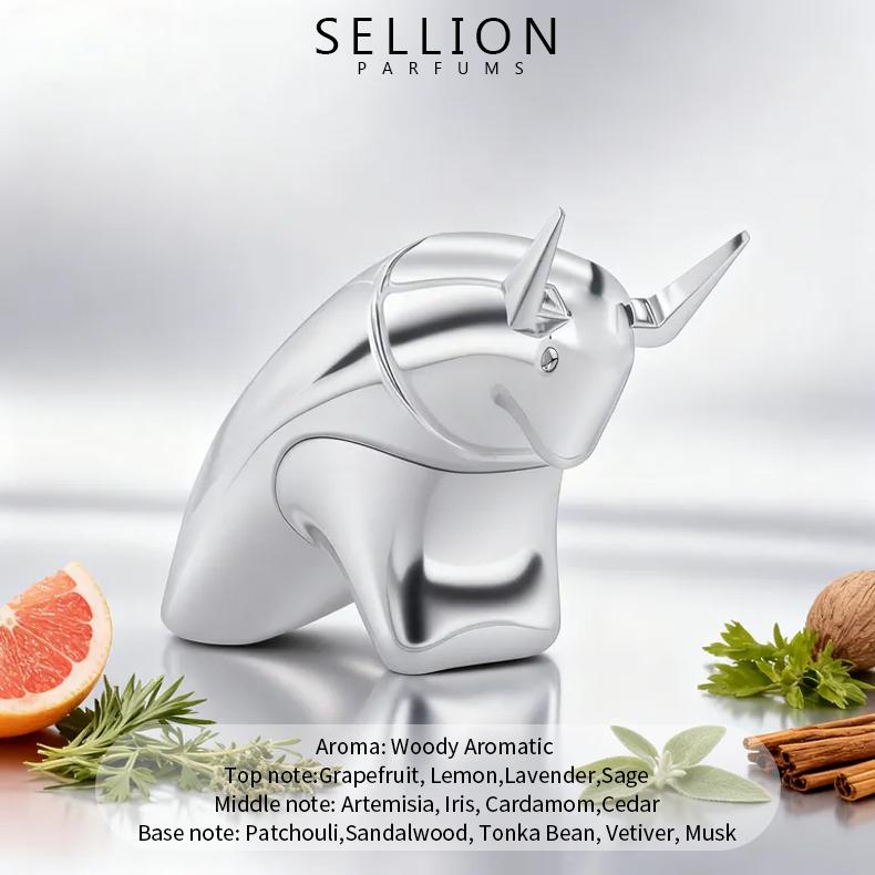 SELLION Parfum Energy Silver EDP 75ML - Men Perfume