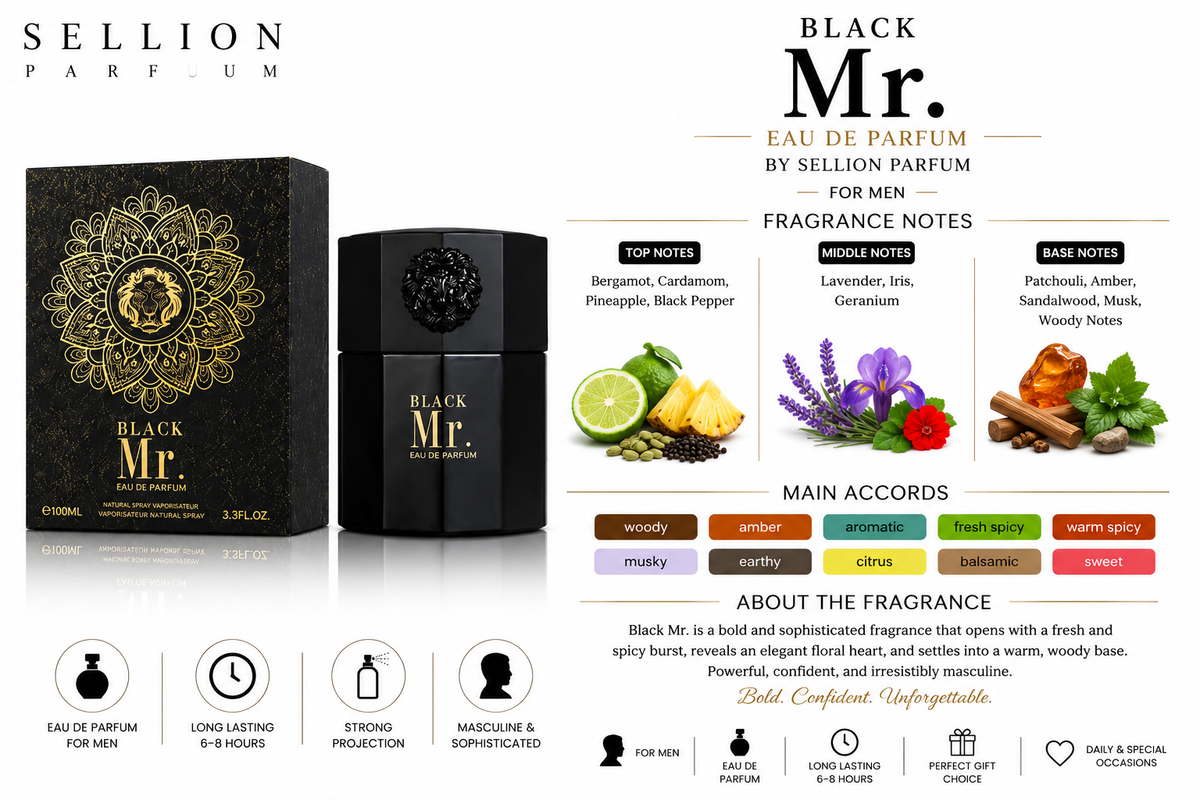 SELLION Parfum Mr. EDP 100ML