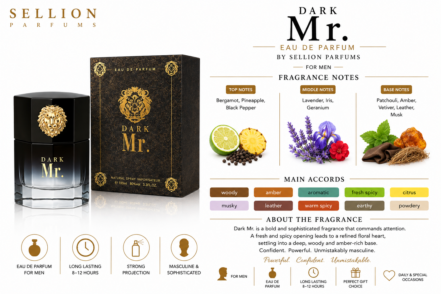 SELLION Parfum Mr. EDP 100ML