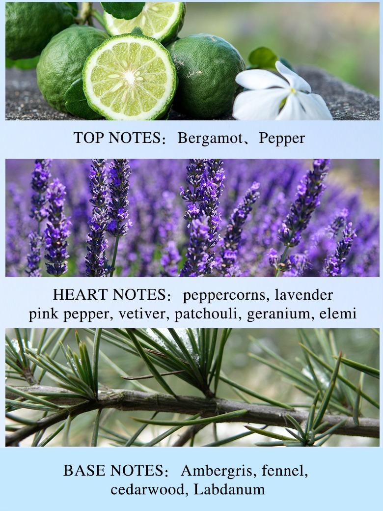 PANDAEYES Parfum Charm Blue EDP 100ML - Men Perfume