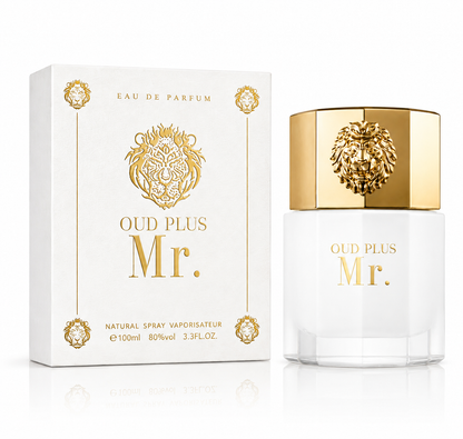 SELLION Parfum Mr. EDP 100ML