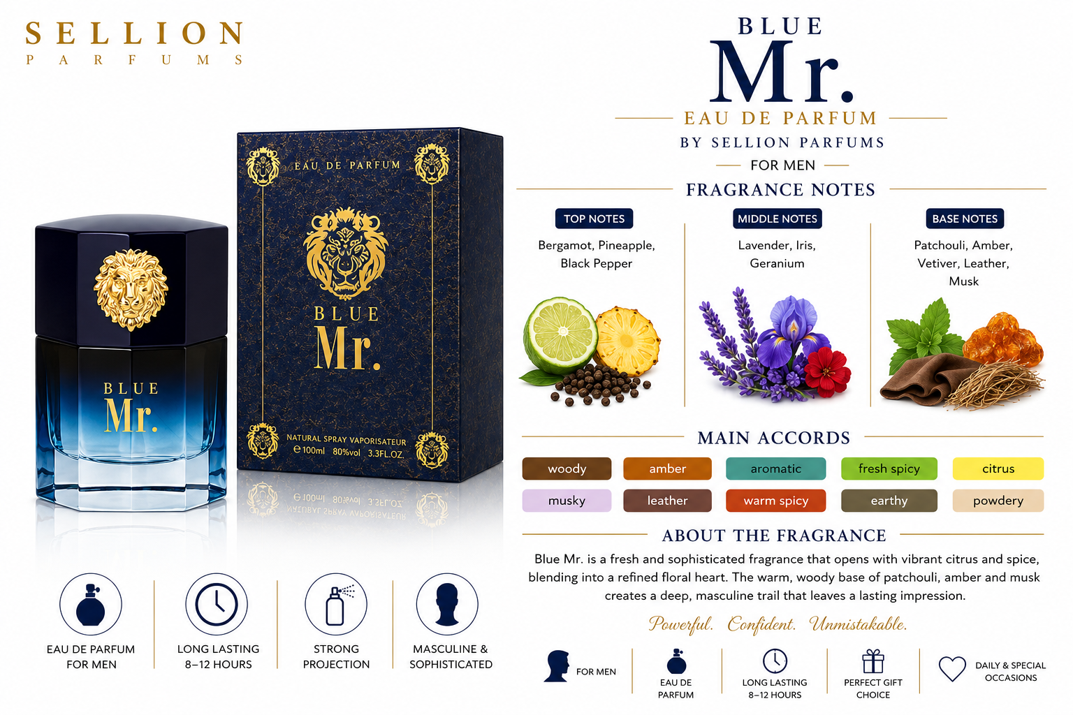 SELLION Parfum Mr. EDP 100ML