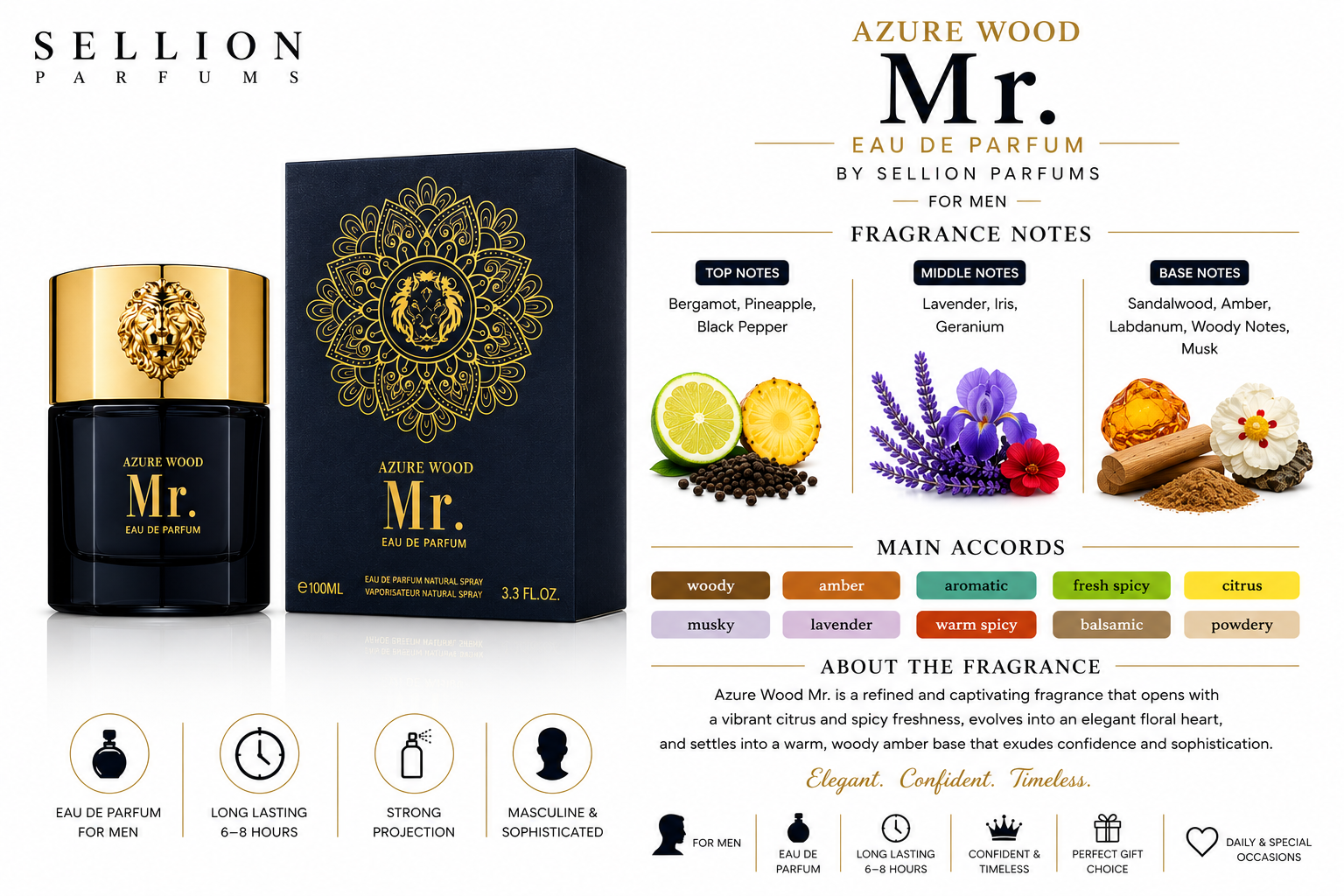 SELLION Parfum Mr. EDP 100ML