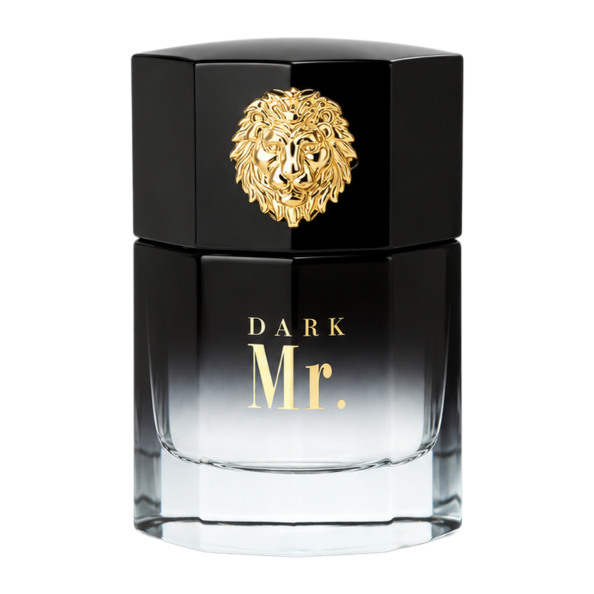 SELLION Parfum Mr. EDP 100ML