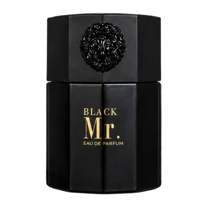 SELLION Parfum Mr. EDP 100ML