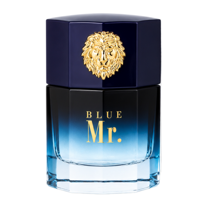 SELLION Parfum Mr. EDP 100ML