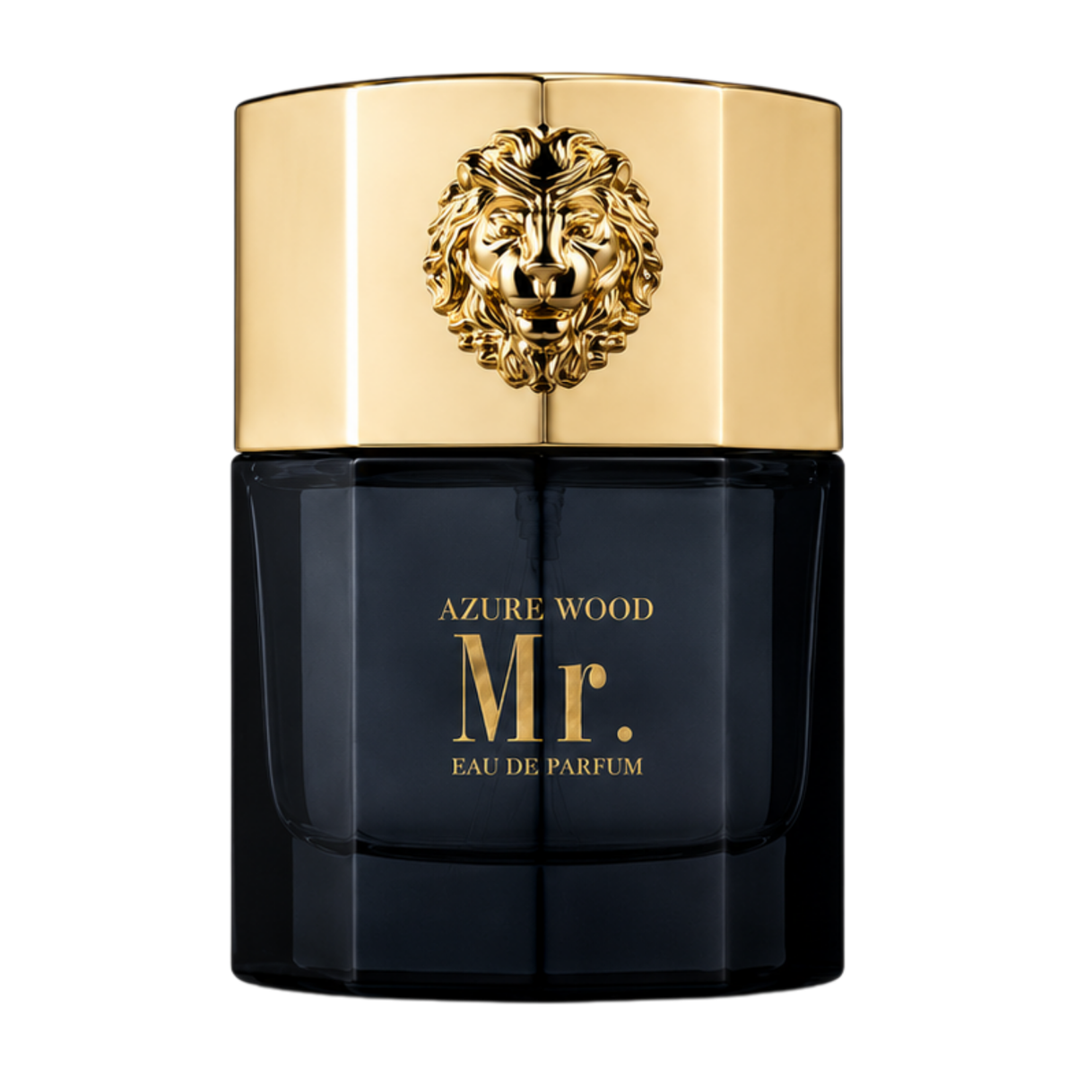 SELLION Parfum Mr. EDP 100ML