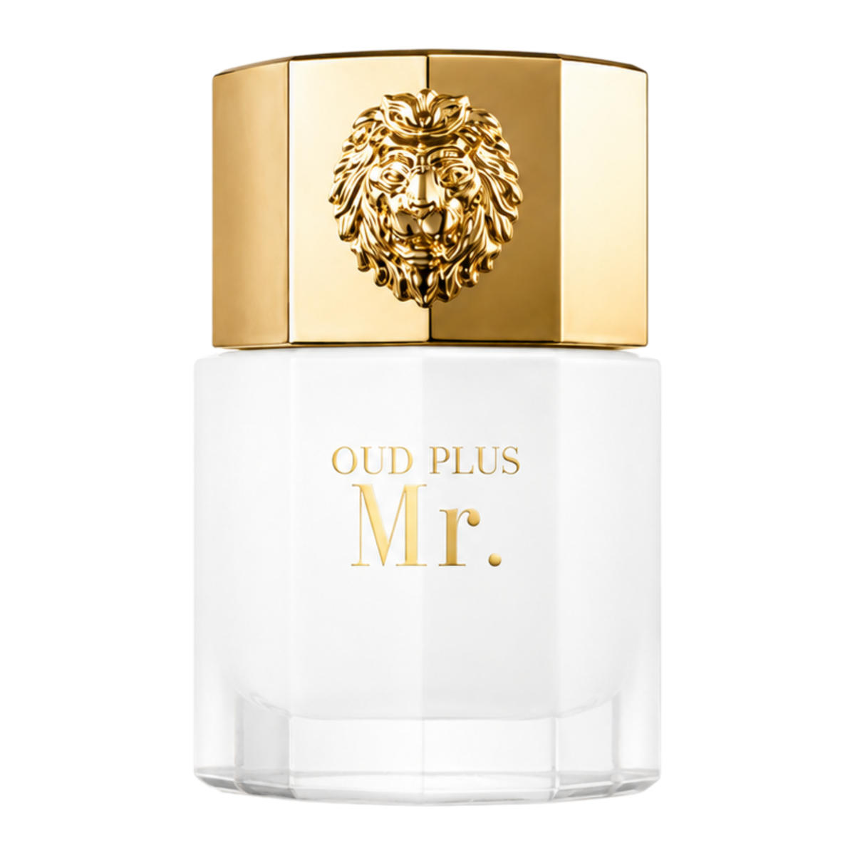 SELLION Parfum Mr. EDP 100ML