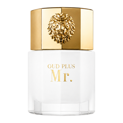 SELLION Parfum Mr. EDP 100ML